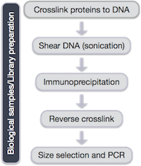 exp_workflow