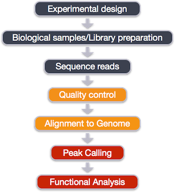 chipseq_workflow_general