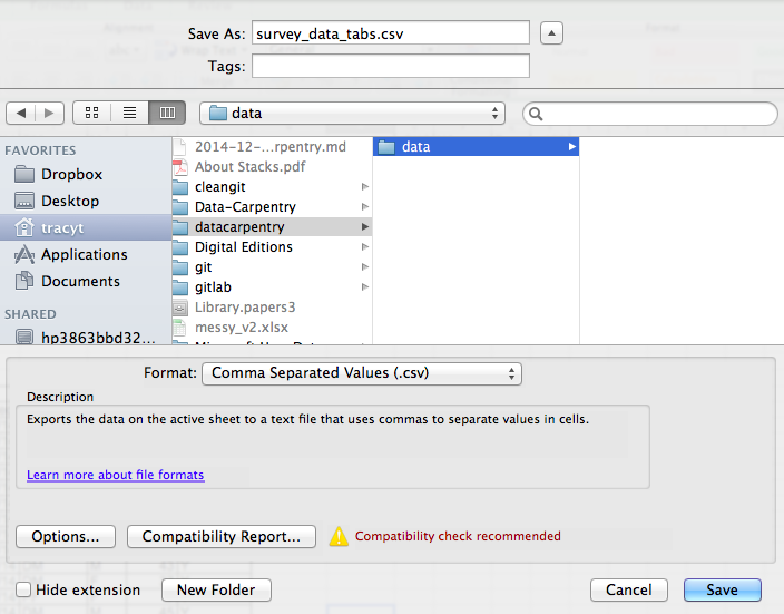 Saving an Excel file to CSV.