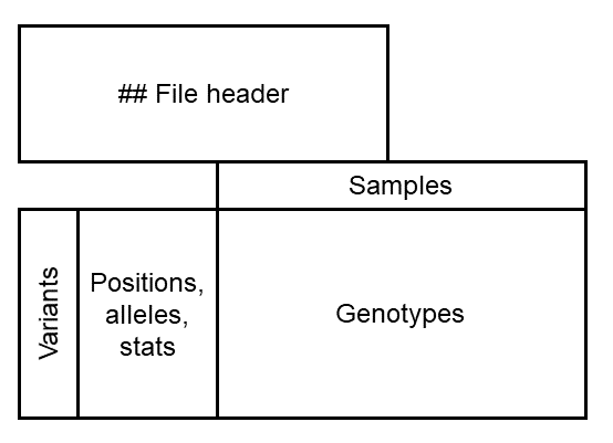 Formatting Rules